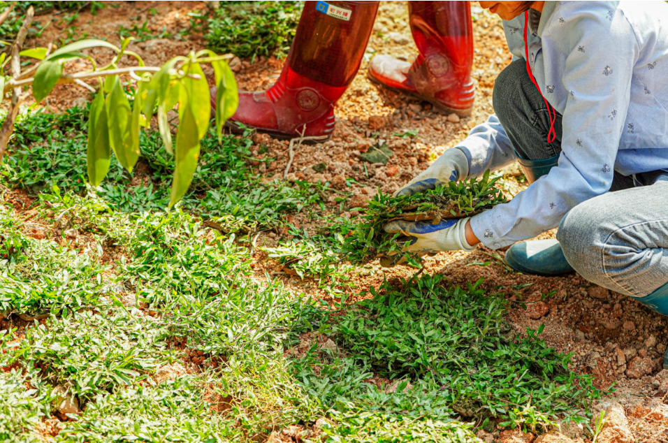 pg�ǹ��ɶ�(�ٷ�)����IOS/��׿��/�ֻ���APP����